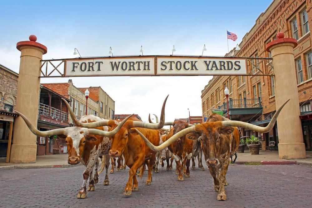 Scottish Inns Fort Worth Eksteriør bilde